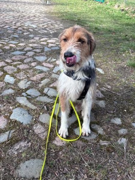 sensible Seele sucht Orientierung