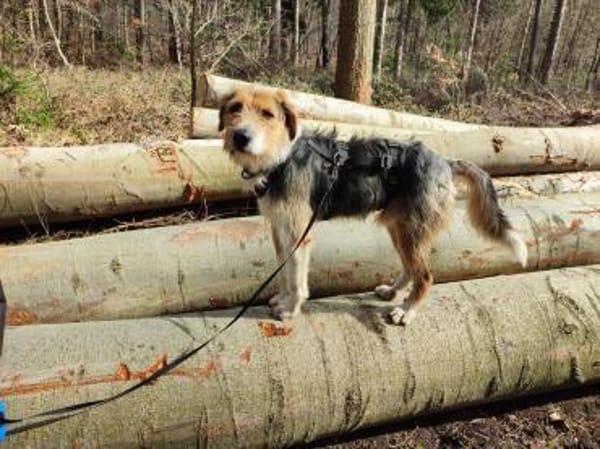 sensible Seele sucht Orientierung