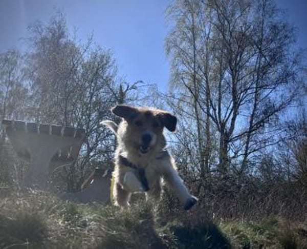 sensible Seele sucht Orientierung