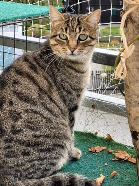 Einzelprinzessin Flia sucht ihre Familie