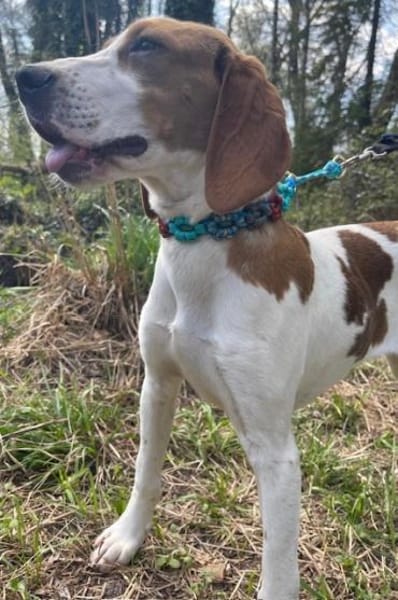 Sunny hübsche Seele bei München