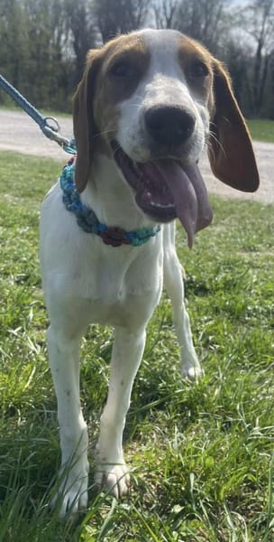 Sunny hübsche Seele bei München