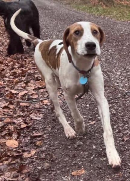 Sunny hübsche Seele bei München