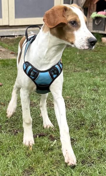 Sunny hübsche Seele bei München