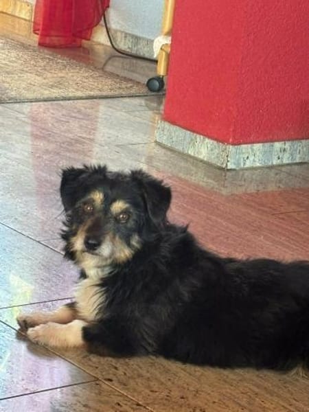 Franzl - baucht eine liebevolle Familie