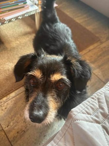 Franzl - baucht eine liebevolle Familie