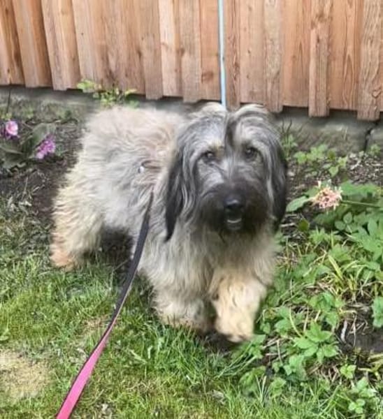 Csomi sucht einen Kuschelplatz