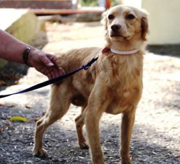 Gabriella ist so lieb und niedlich!