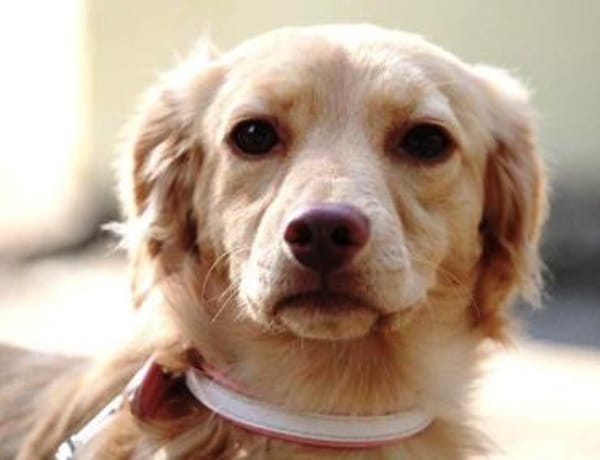 Gabriella ist so lieb und niedlich!