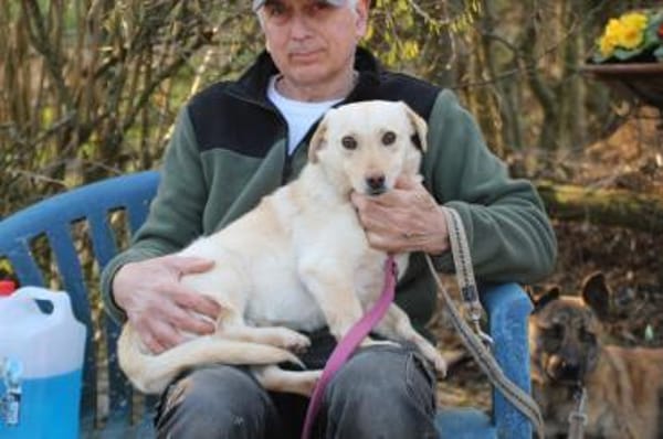 Camaro - kinderlieber Familienhund