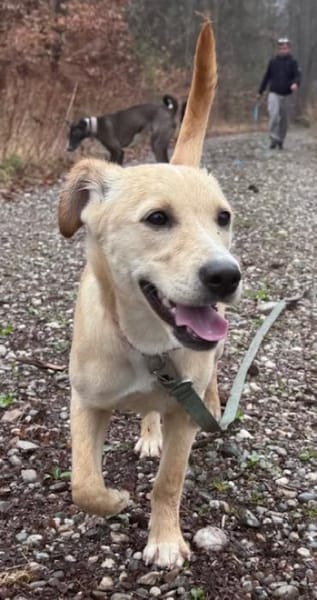 Sandy süße Maus / bei München