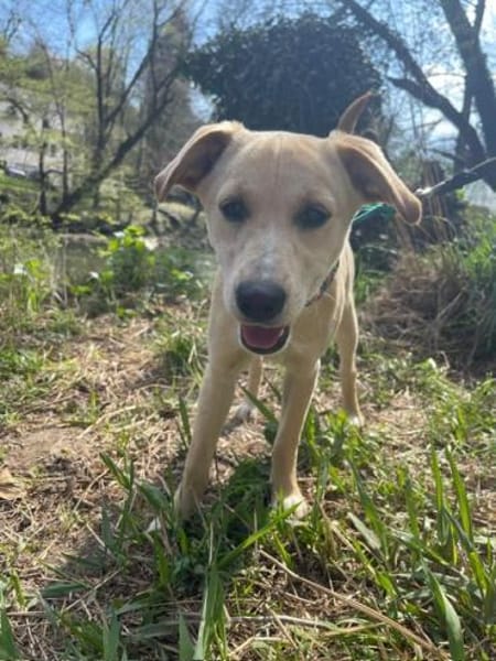 Sandy süße Maus / bei München