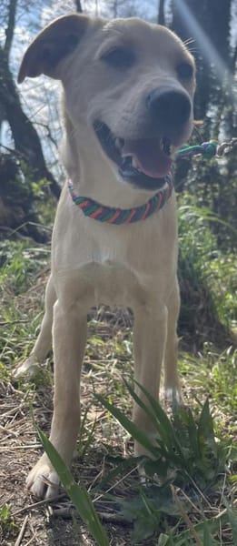 Sandy süße Maus / bei München