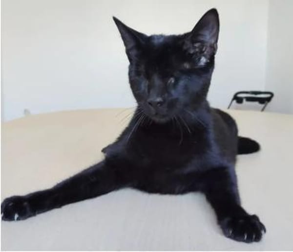 Carlo - super süß & bezaubernd