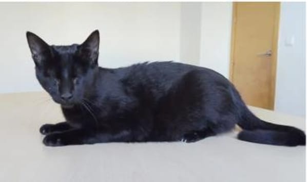 Carlo - super süß & bezaubernd