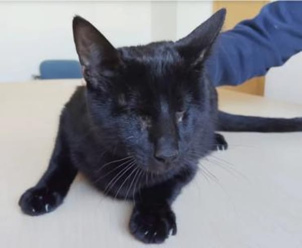 Carlo - super süß & bezaubernd