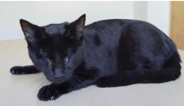 Carlo - super süß & bezaubernd