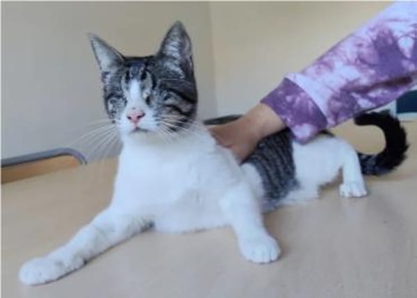 Camala - gesellig, zutraulich&verspielt