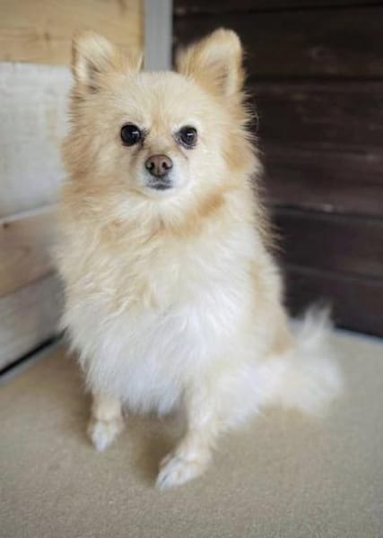 Bubbles in 41344 Nettetal-Lobbrich