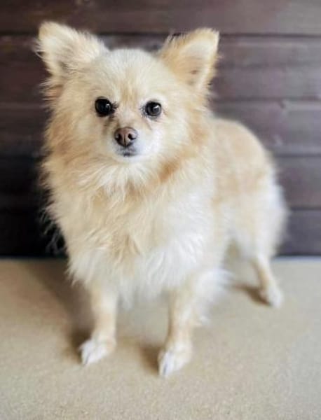 Bubbles in 41344 Nettetal-Lobbrich