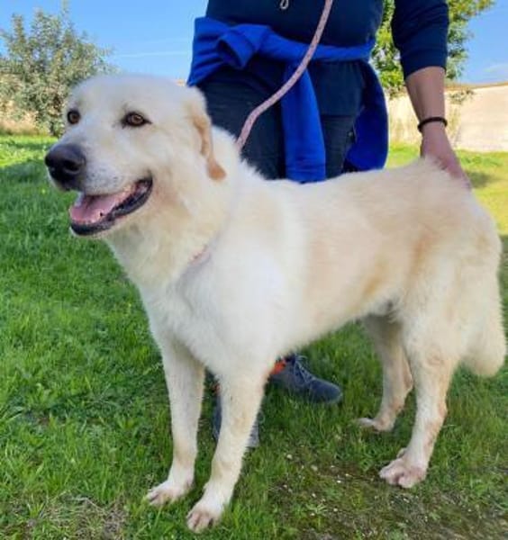 Essenza auf Pflegestelle in Hessen