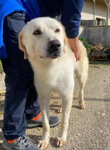 Essenza auf Pflegestelle in Hessen