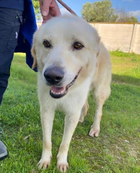 Essenza auf Pflegestelle in Hessen