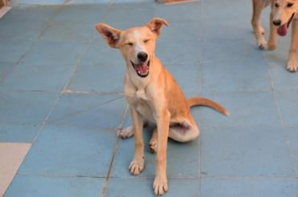 Violeta hat den Koffer gepackt