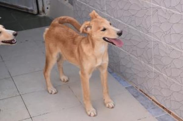 Violeta hat den Koffer gepackt