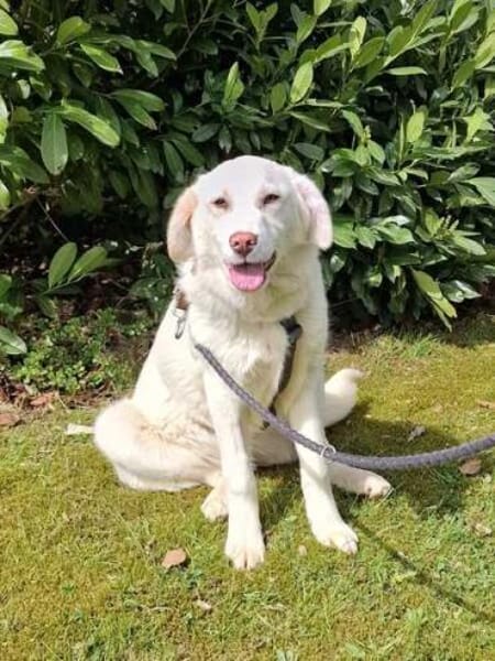 NELLIE * großes Mädchen, großes Glück