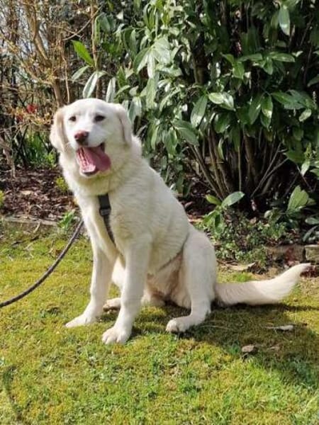 NELLIE * großes Mädchen, großes Glück