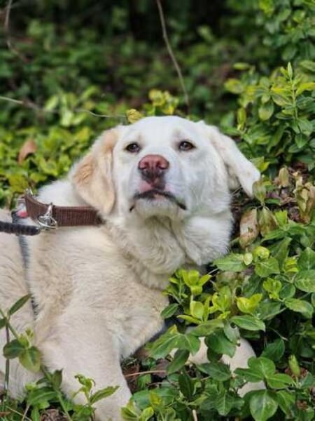 NELLIE * großes Mädchen, großes Glück