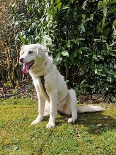 NELLIE * großes Mädchen, großes Glück