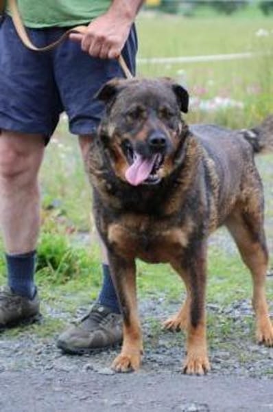 Yona - ein echter Prachtkerl!