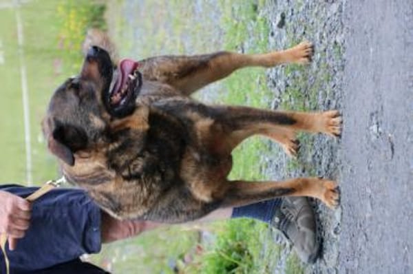 Yona - ein echter Prachtkerl!