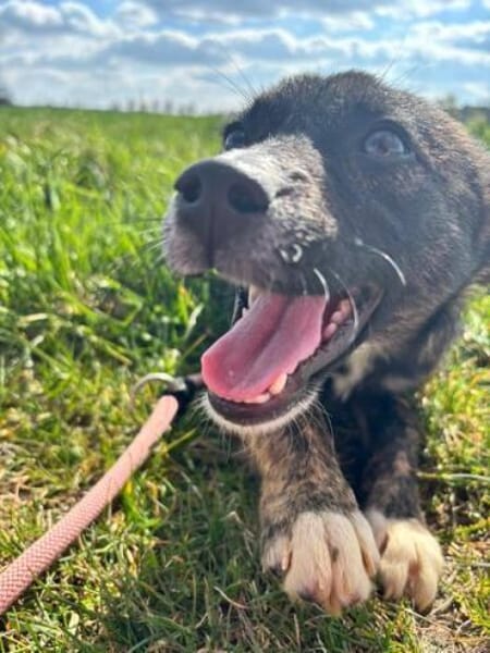 ALANA * fröhliches lernwilliges Mädchen