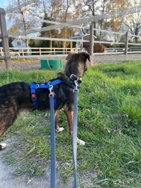 ALANA * fröhliches lernwilliges Mädchen