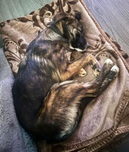 ALANA * fröhliches lernwilliges Mädchen