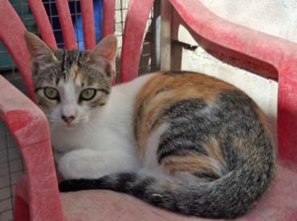 Vanesa - 🧡 trotzdem quietschfidel 🧡