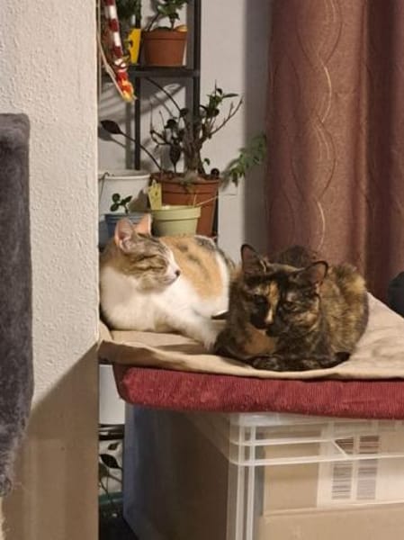 Vanesa - 🧡 trotzdem quietschfidel 🧡