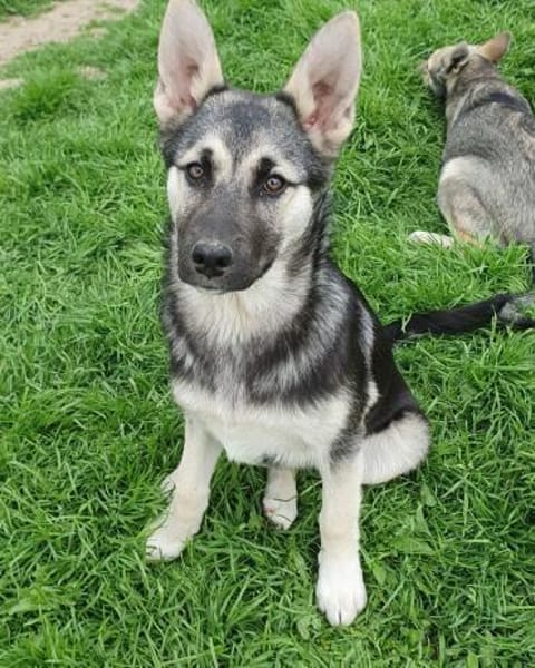 Elara sucht aktive Menschen