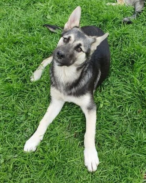 Elara sucht aktive Menschen