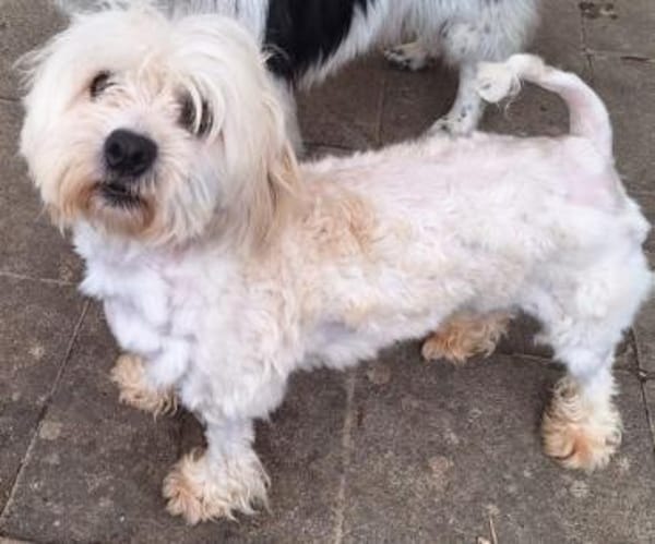 EMICO -menschenbezogen & freundlich-