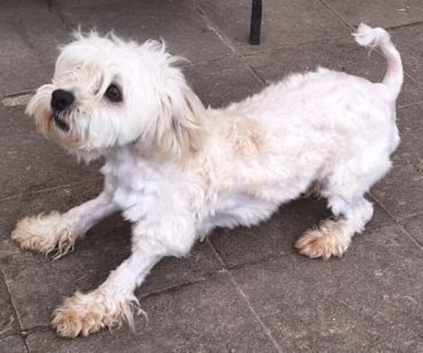 EMICO -menschenbezogen & freundlich-