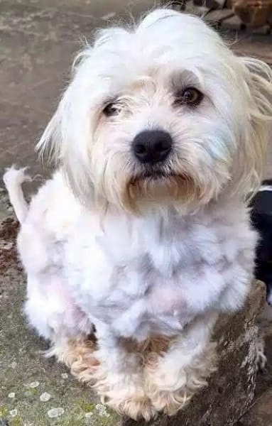 EMICO -menschenbezogen & freundlich-