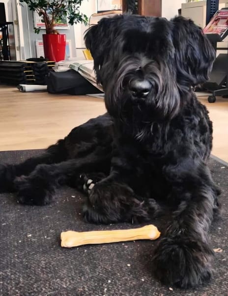 MORI VERLIERT SEIN SICHERES UMFELD