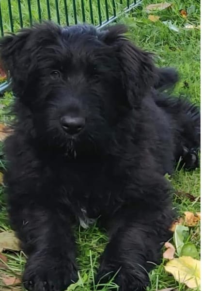 MORI VERLIERT SEIN SICHERES UMFELD