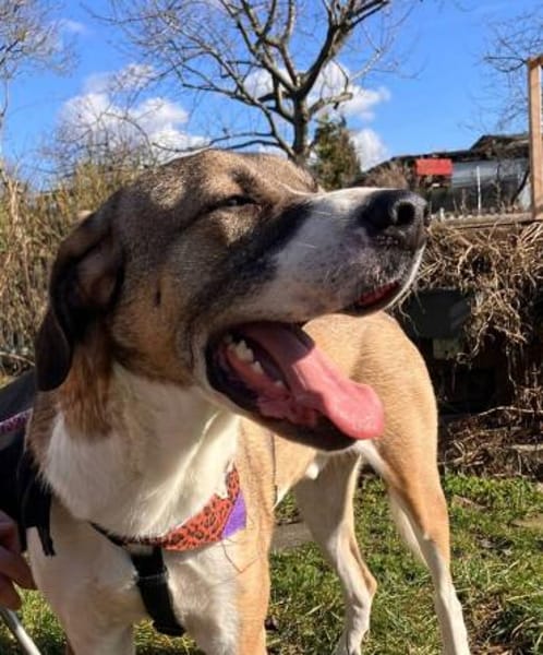 Dias aus 01097 Dresden