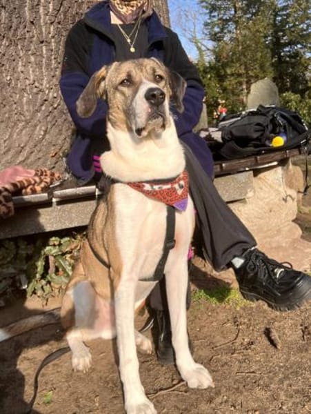 Dias aus 01097 Dresden