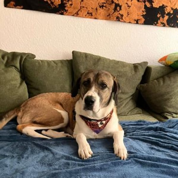 Dias aus 01097 Dresden